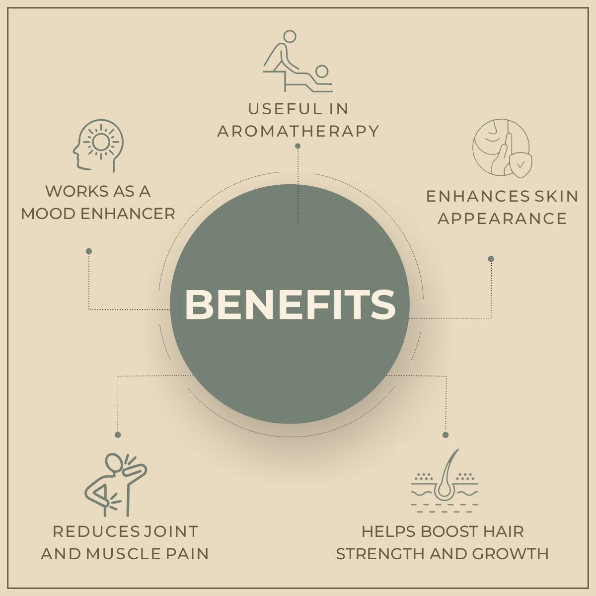 Shoprythm Natural Essential Oils Spearmint Essential Oil Shoprythm Natural Essential Oils Spearmint Essential Oil